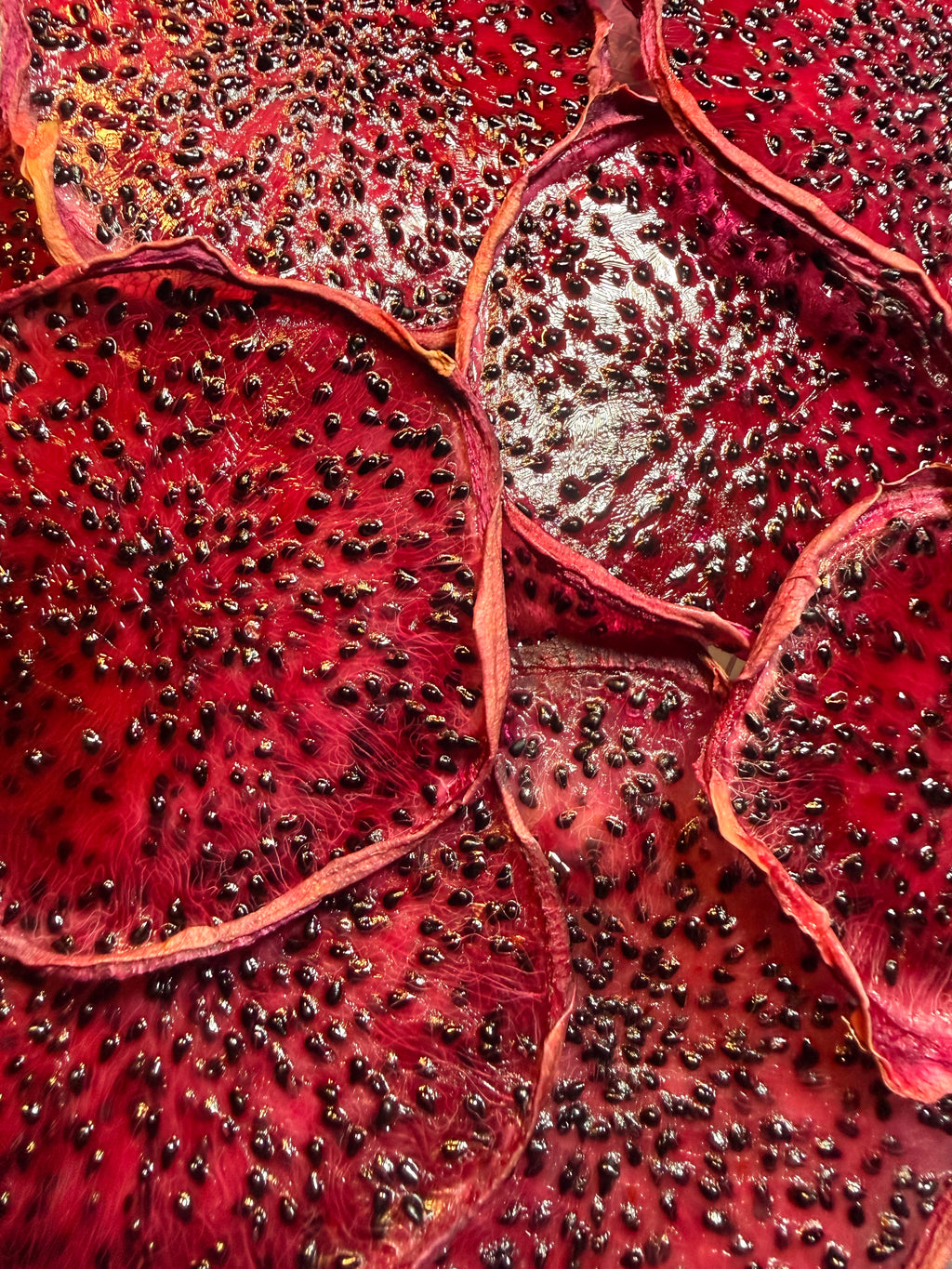 🍉 Bar Oasis® Dehydrated Pink Dragon Fruit
