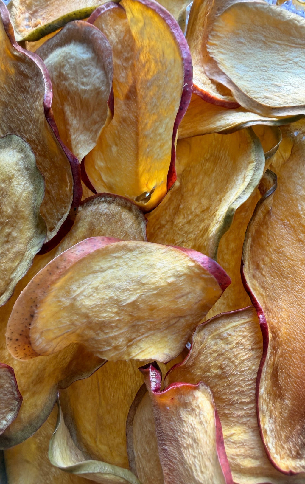 🥭 Bar Oasis® Dehydrated Mango Slices