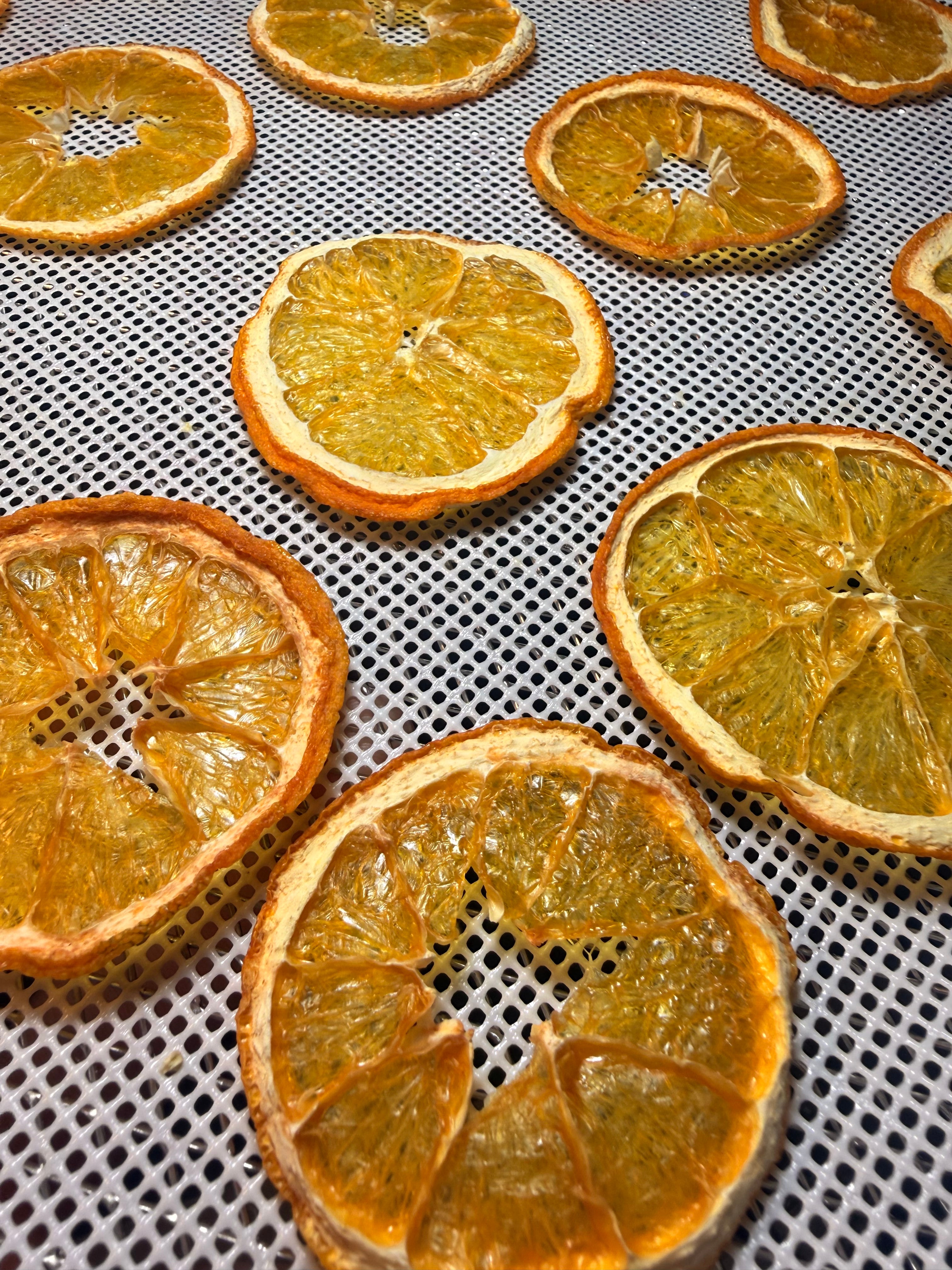 🍊 Bar Oasis® Dehydrated Orange Slices
