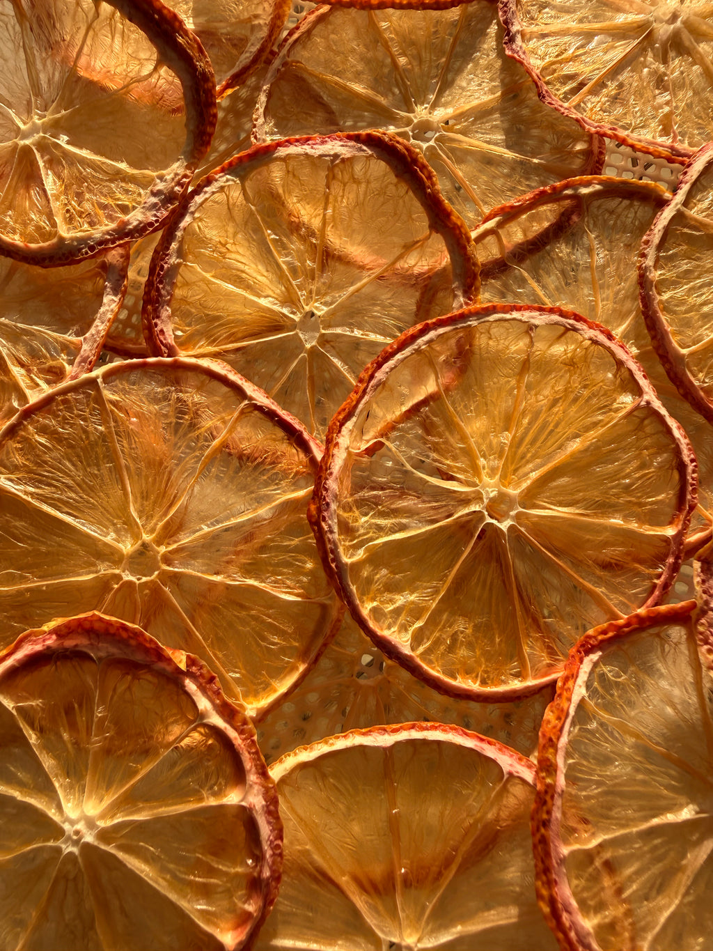 🍋 Bar Oasis® Dehydrated Lemon Wheels