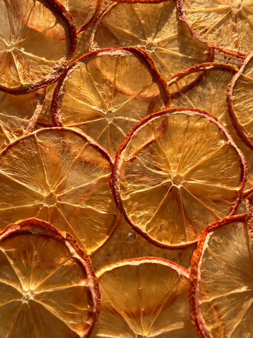🍋 Bar Oasis® Dehydrated Lemon Wheels