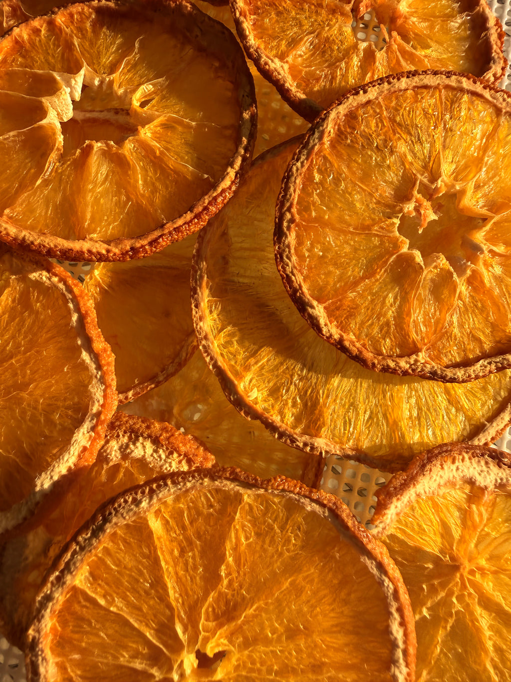 🍊 Bar Oasis® Dehydrated Orange Slices