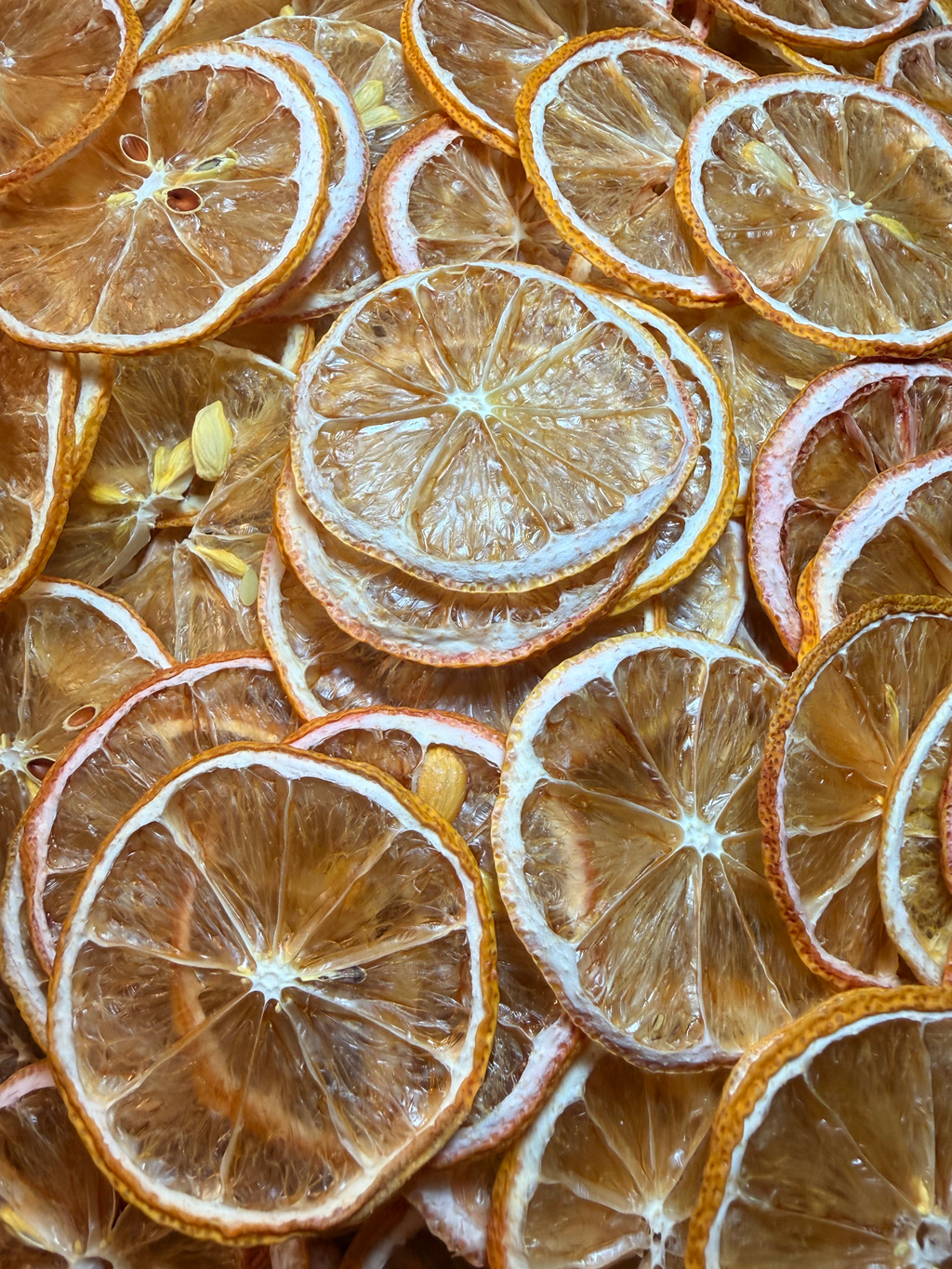🍋 Bar Oasis® Dehydrated Lemon Wheels